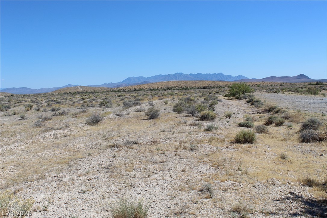 10091 Robert Road Pahrump, NV 89048 - Photo 3 of 7 That's BLM at the end of Robert to the south