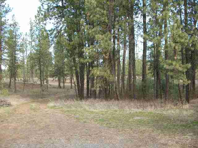 18512 South Short Road Cheney, WA 99004 - Photo 1 of 4