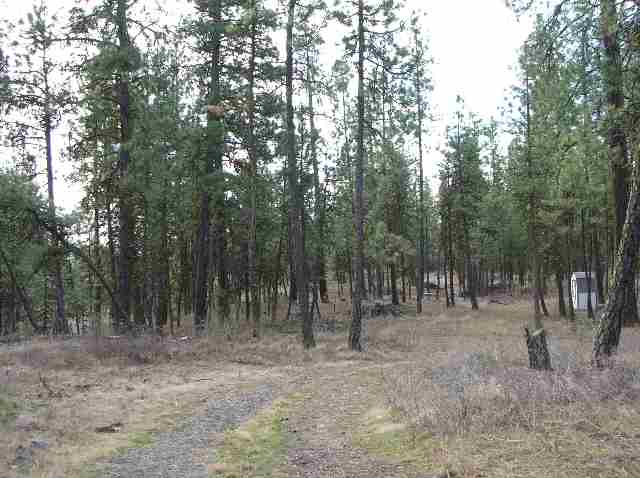 18512 South Short Road Cheney, WA 99004 - Photo 4 of 4