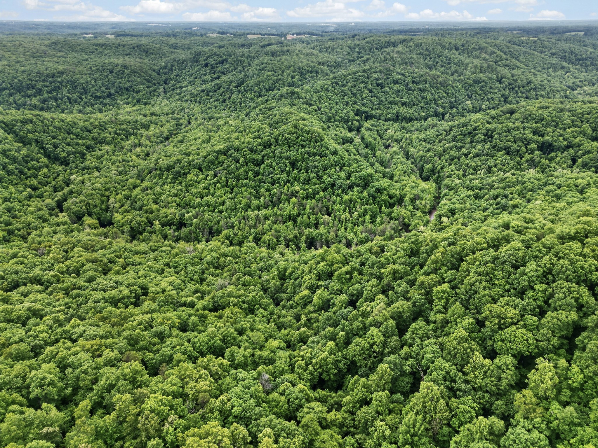 55214 Maynard Ridge Lane Crawford, TN 38554 - Photo 27 of 32 a view of a field of grass and trees