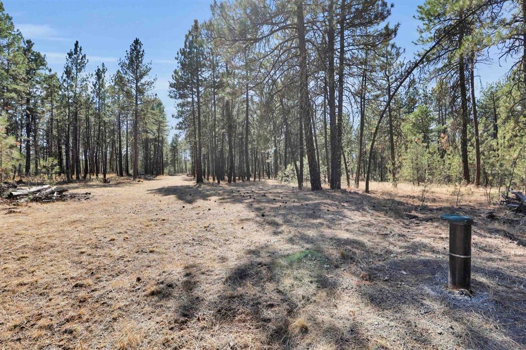 16619 South Sherman Road Cheney, WA 99004 - Photo 1 of 23