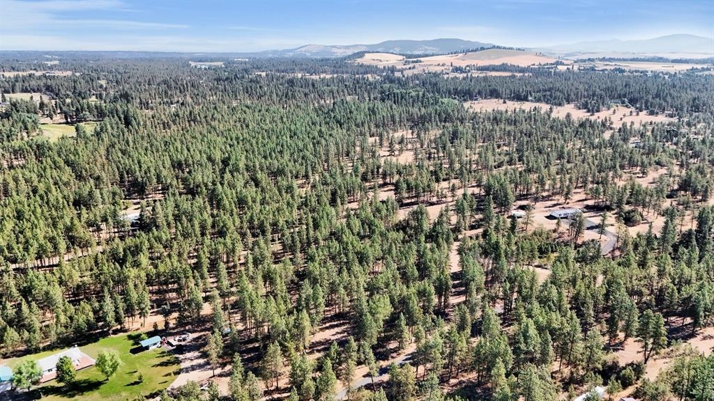 16619 South Sherman Road Cheney, WA 99004 - Photo 13 of 23