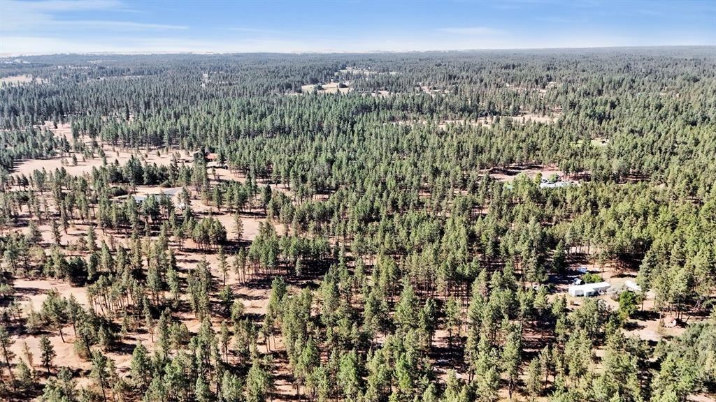 16619 South Sherman Road Cheney, WA 99004 - Photo 16 of 23