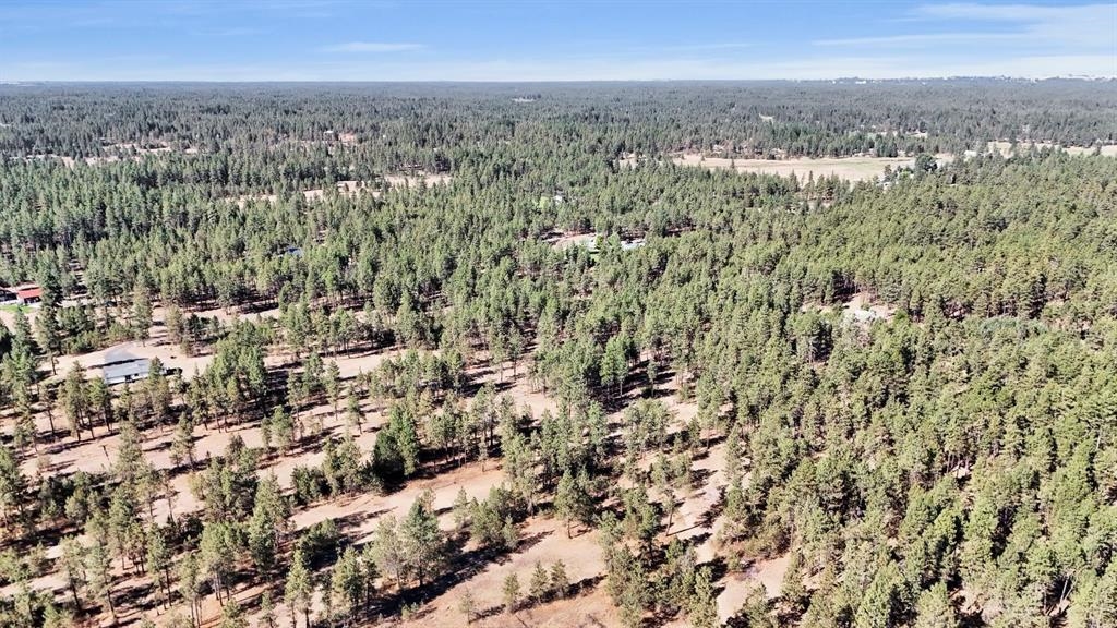 16619 South Sherman Road Cheney, WA 99004 - Photo 17 of 23