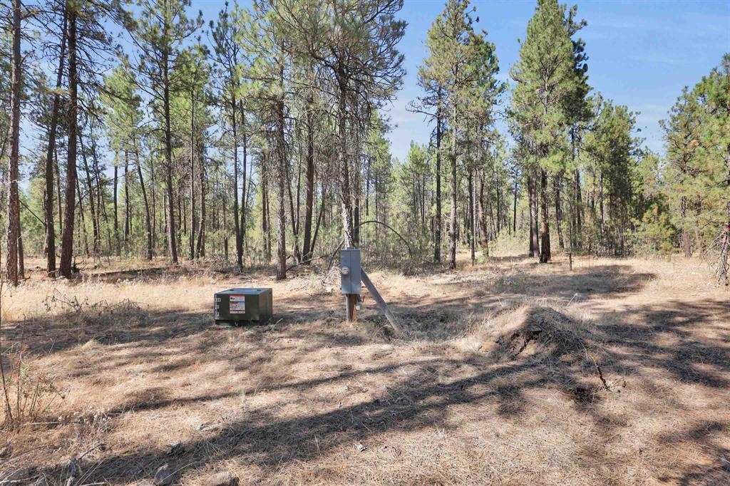 16619 South Sherman Road Cheney, WA 99004 - Photo 2 of 23