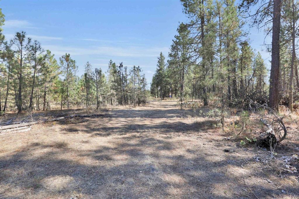 16619 South Sherman Road Cheney, WA 99004 - Photo 4 of 23