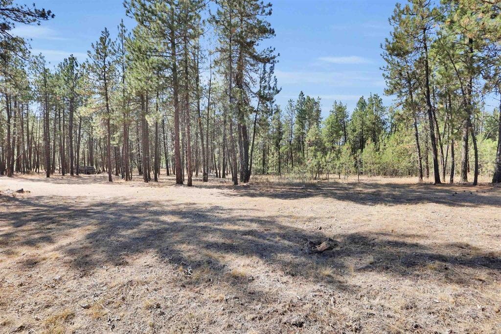 16619 South Sherman Road Cheney, WA 99004 - Photo 5 of 23