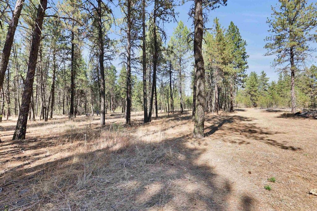 16619 South Sherman Road Cheney, WA 99004 - Photo 7 of 23