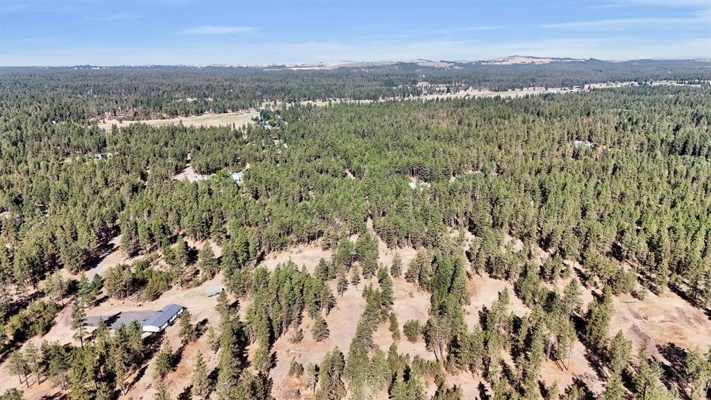 16619 South Sherman Road Cheney, WA 99004 - Photo 10 of 23