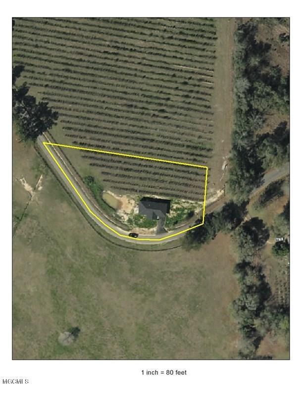 361 H Burge Road Poplarville, MS 39470 - Photo 5 of 19 169783_23