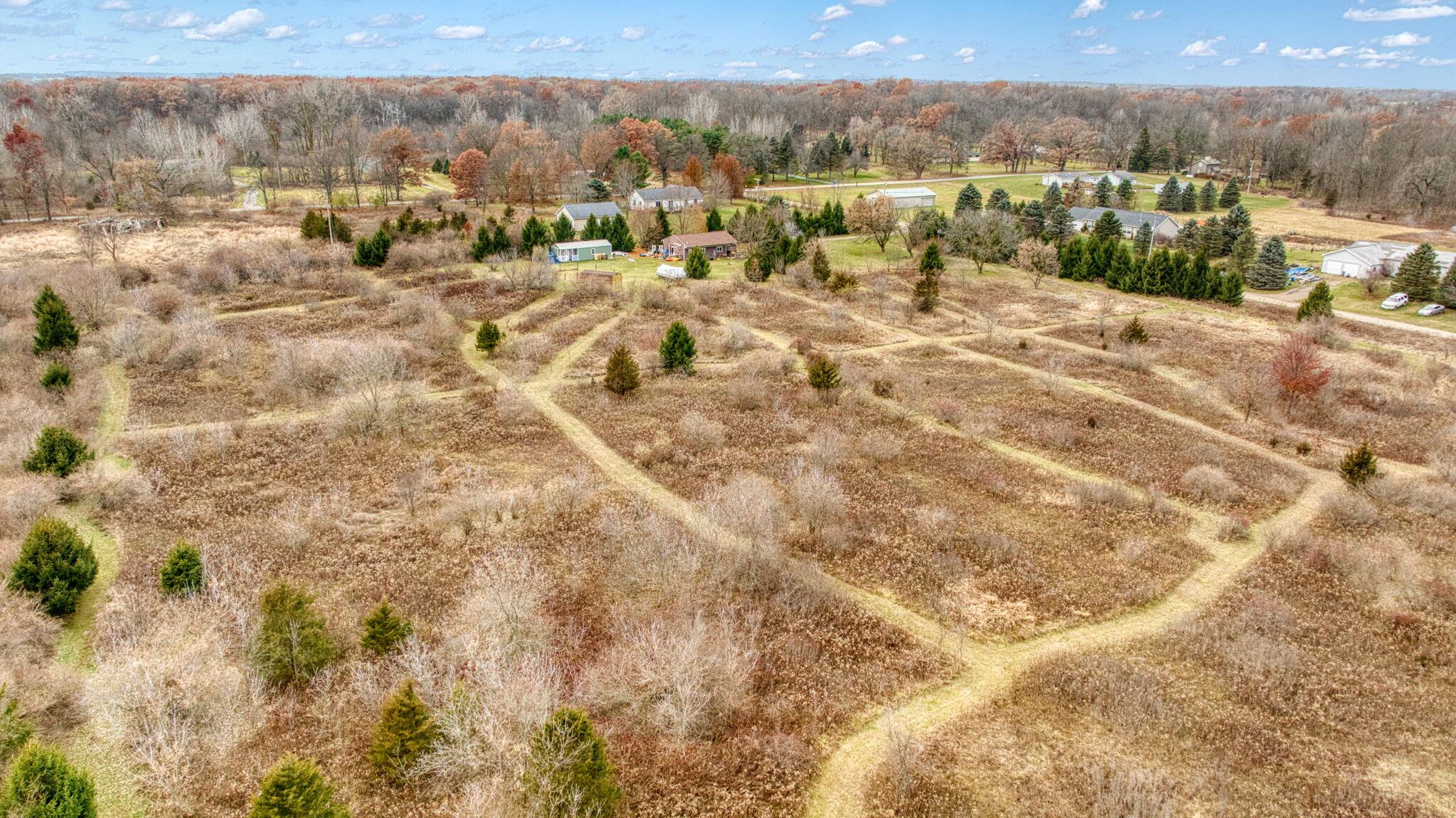 12695 Dearmyer Road Brooklyn, MI 49230 - Photo 28 of 29 18-web-or-mls-DJI_0383_HDR