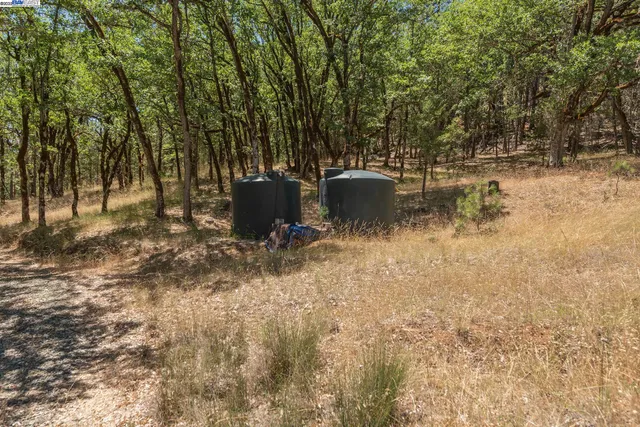 a view of a yard with trees