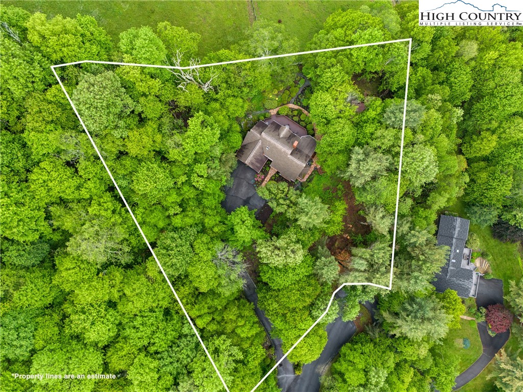 349 Belmont Drive Boone, NC 28607 - Photo 45 of 49 a view of a yard with a tree