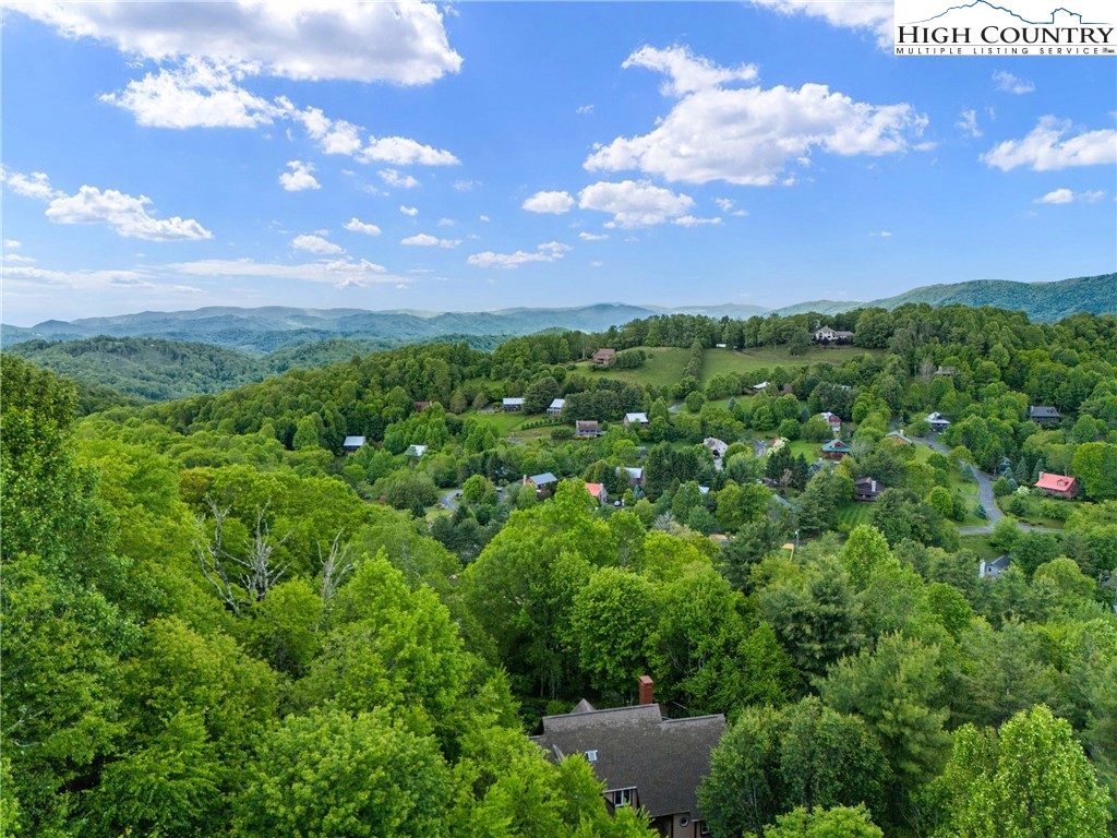 349 Belmont Drive Boone, NC 28607 - Photo 47 of 49 a view of a bunch of trees