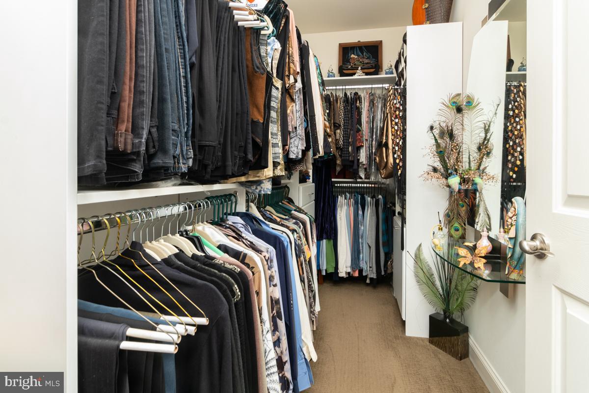 2 Devalinder Drive Newark, DE 19702 - Photo 24 of 48 Primary Custom Closet