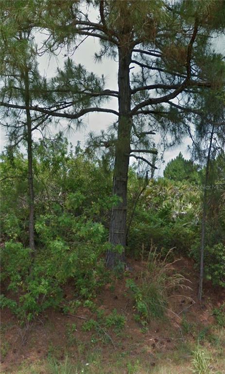 12476 Patsy Avenue Port Charlotte, FL 33981 - Photo 1 of 1 Gallery Image 1