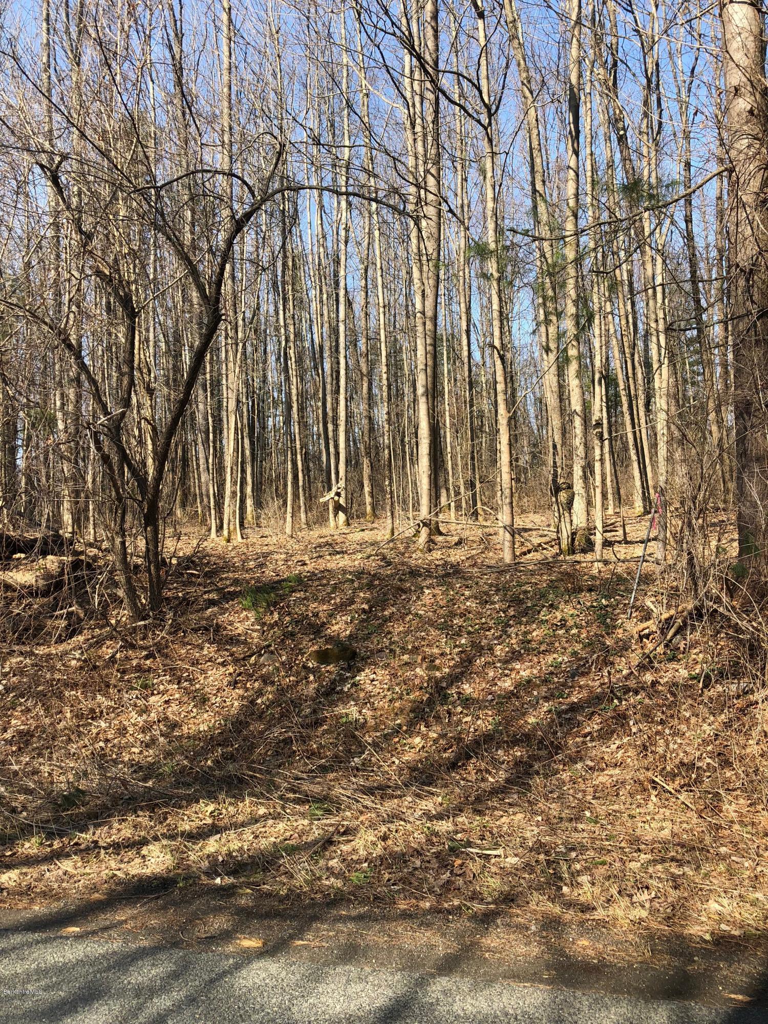 Long Pond Road Great Barrington, MA 01230 - Photo 2 of 4 IMG_5816