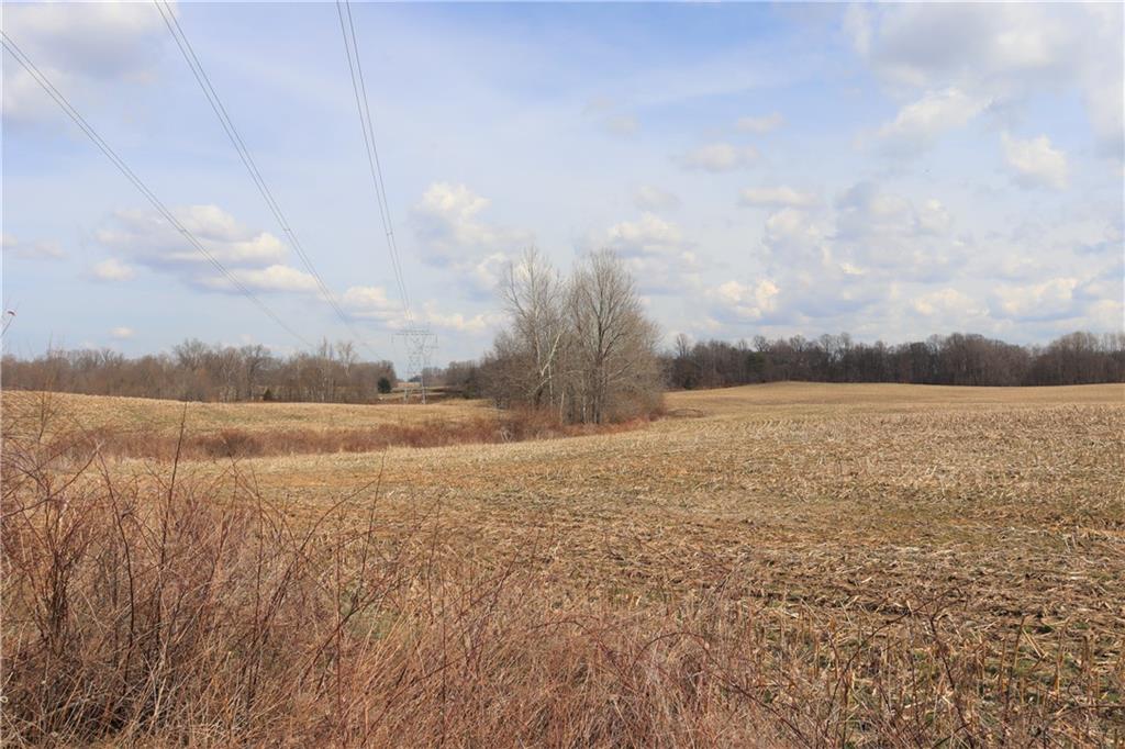 3555 Harshman Road Bloomfield, IN 47424 - Photo 54 of 59