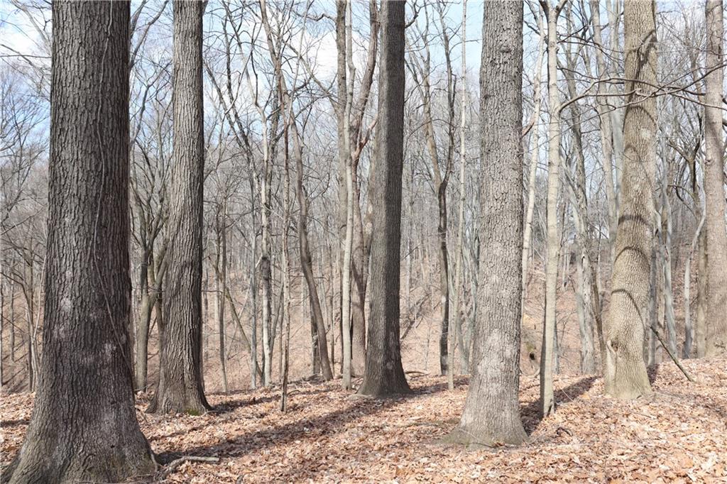 3555 Harshman Road Bloomfield, IN 47424 - Photo 55 of 59