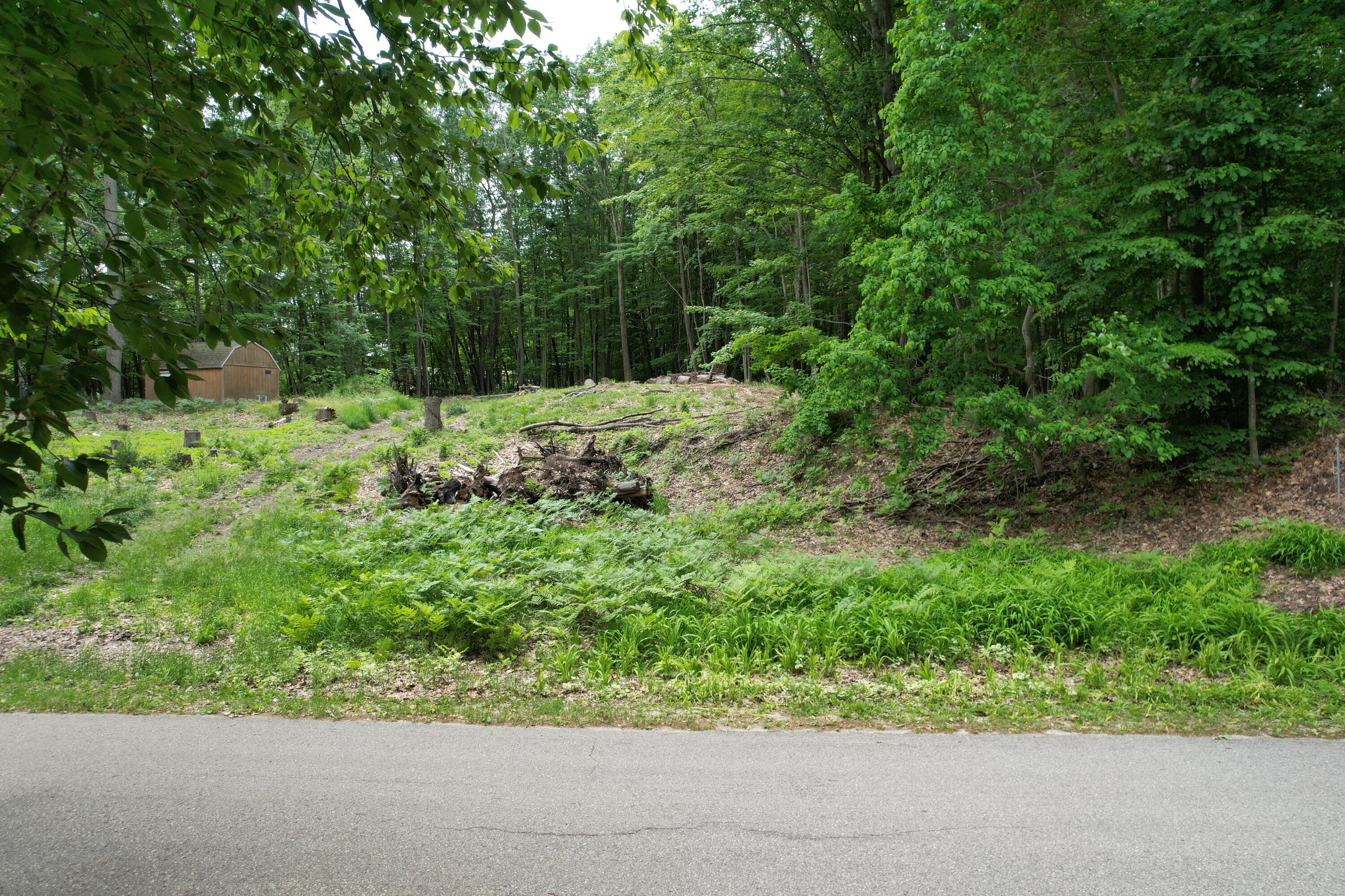 4209 East Town Line Road Fountain, MI 49410 - Photo 11 of 18 Road Frontage
