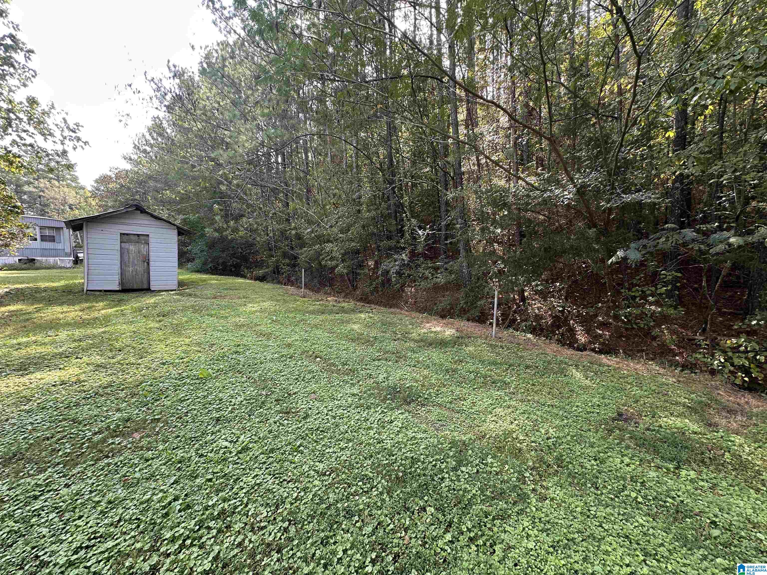 2795 Morris Majestic Road Morris, AL 35116 - Photo 22 of 23