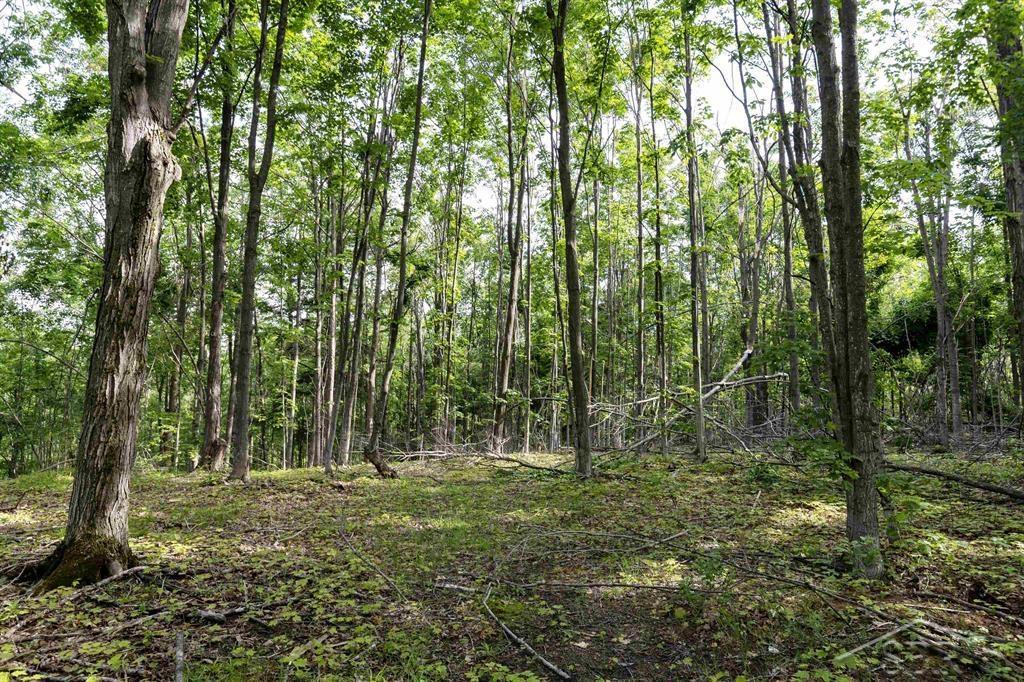 Vl McCoy Road Gaylord, MI 49735 - Photo 17 of 19