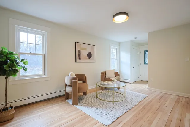 a living room with furniture and a potted plant