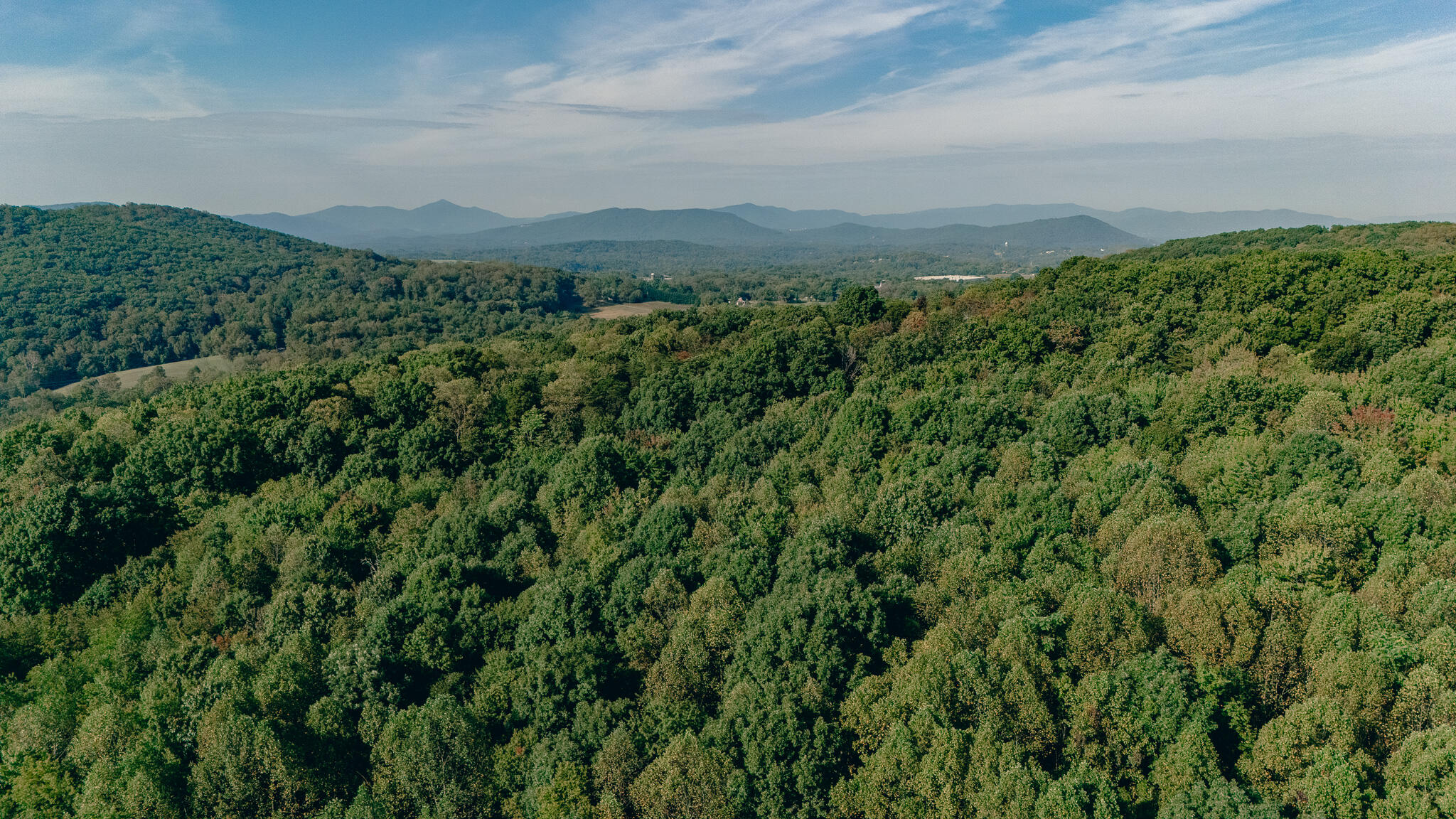 1737 Beagle Club Road Vinton, VA 24179 - Photo 11 of 45 a view of a city and green field