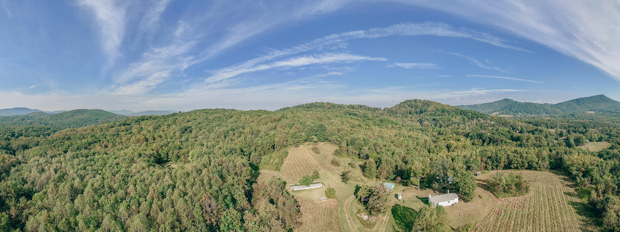 1737 Beagle Club Road Vinton, VA 24179 - Photo 12 of 45 a view of a city with lush green forest
