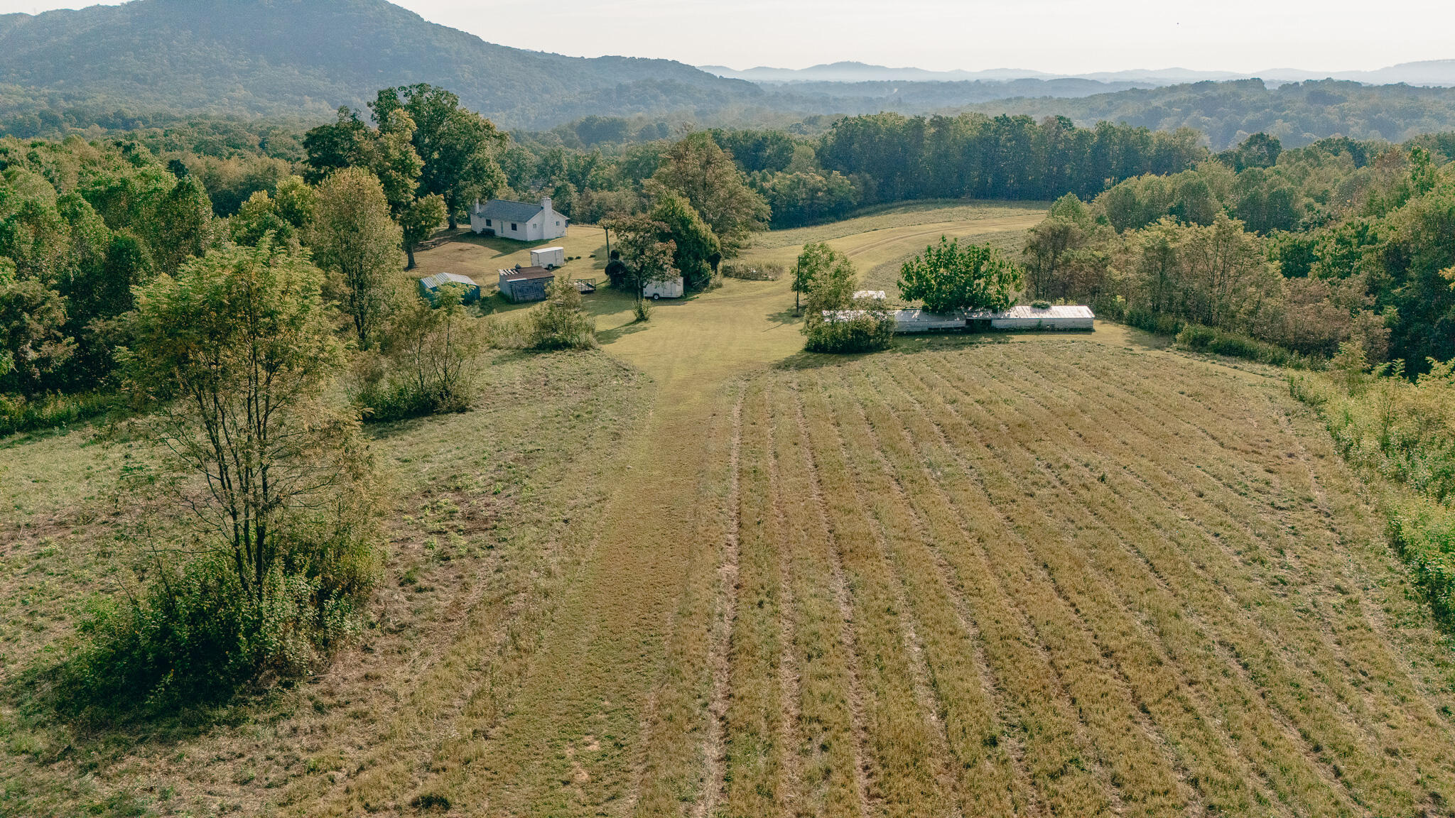 1737 Beagle Club Road Vinton, VA 24179 - Photo 18 of 45 a view of a pathway with a yard