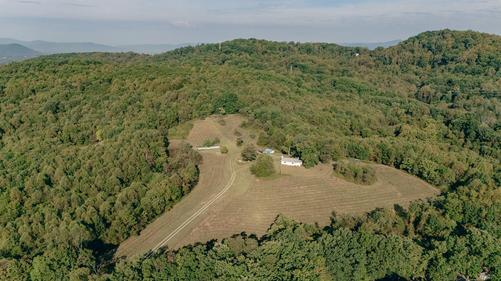 1737 Beagle Club Road Vinton, VA 24179 - Photo 2 of 45 a view of a big yard with lots of green space