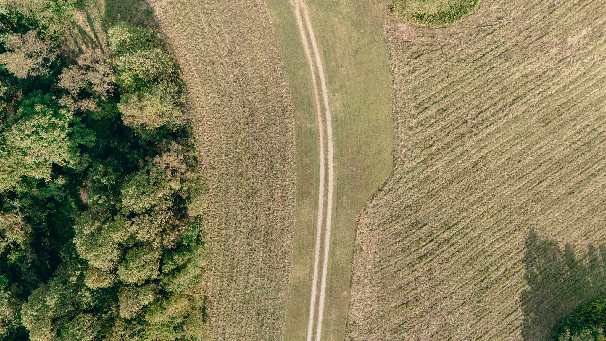 1737 Beagle Club Road Vinton, VA 24179 - Photo 23 of 45 a bathroom with a shower