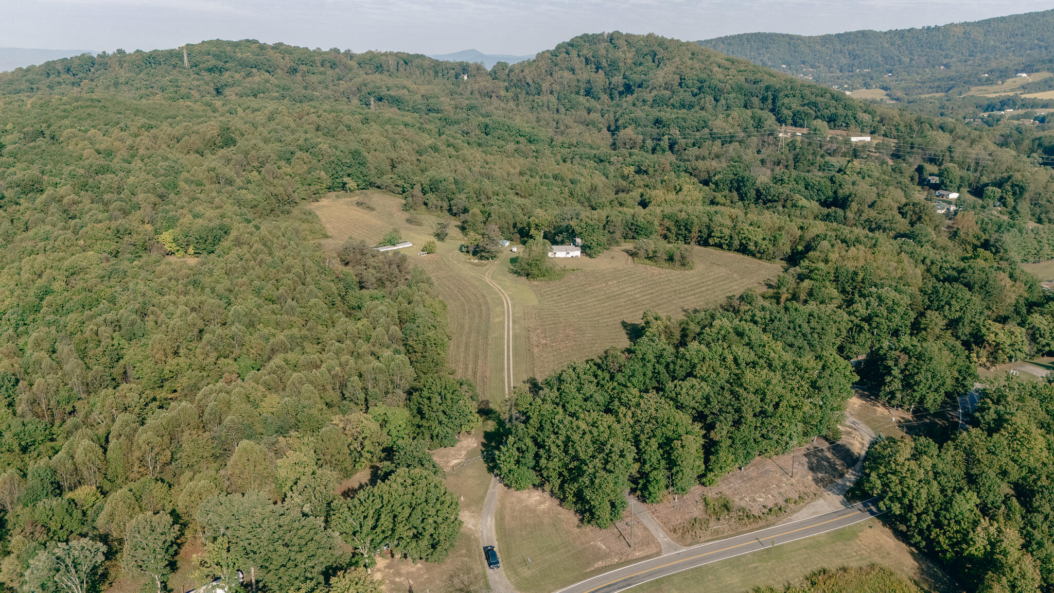 1737 Beagle Club Road Vinton, VA 24179 - Photo 5 of 45 a view of a forest with a sink