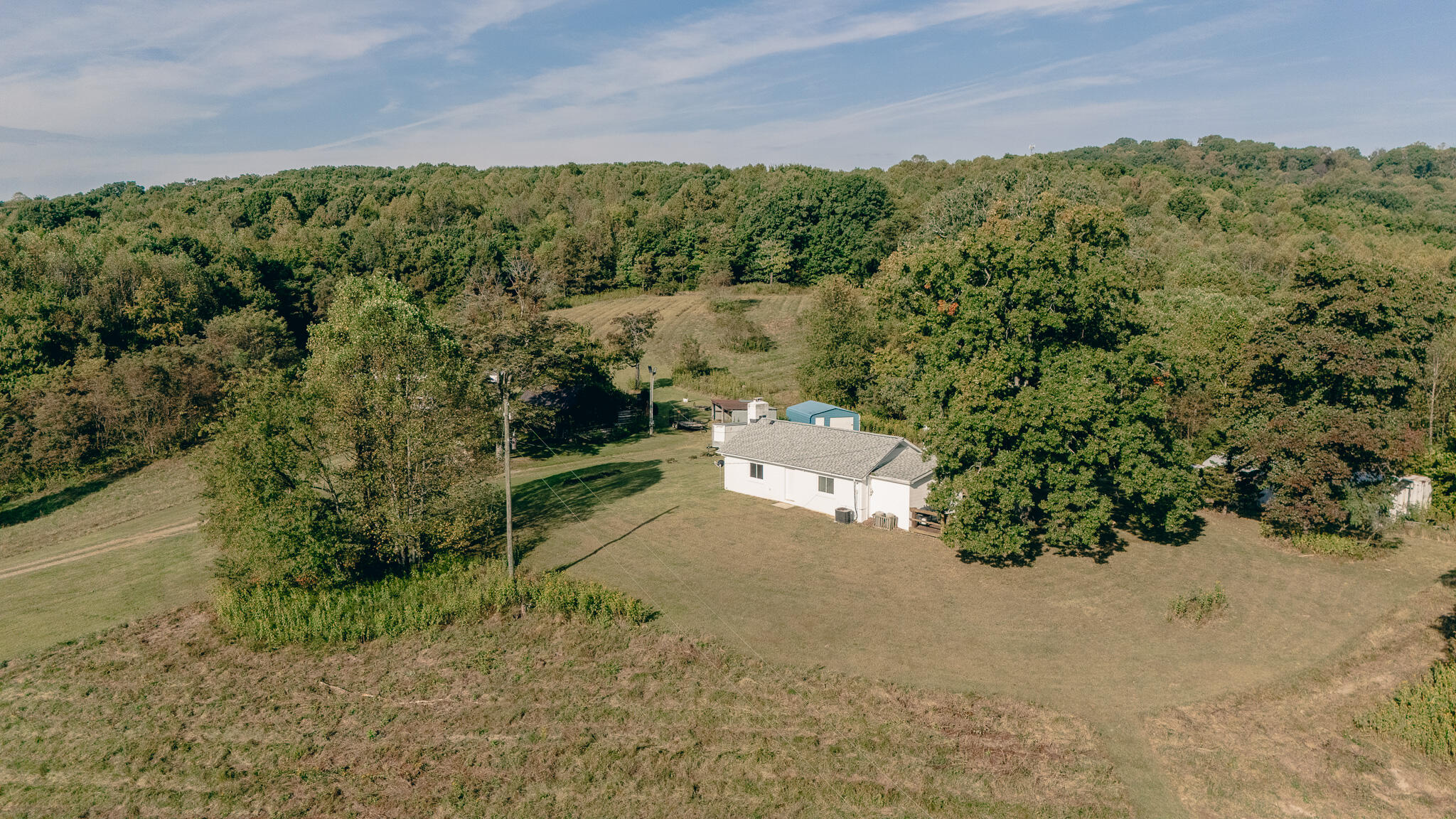1737 Beagle Club Road Vinton, VA 24179 - Photo 9 of 45 a view of a forest with a street