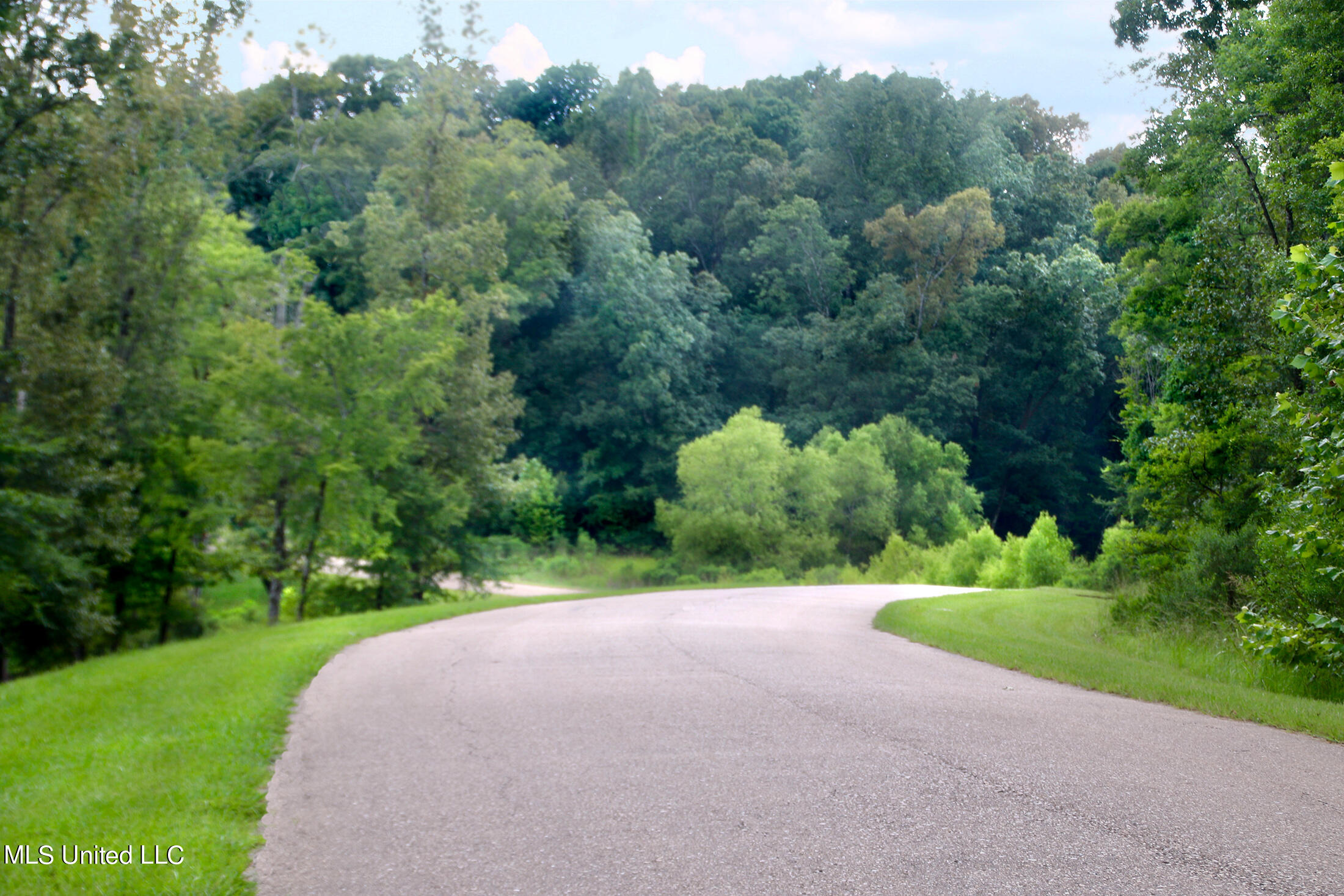 Lot 86 Chestnut Spring Road Flora, MS 39071 - Photo 3 of 3 77055133-E208-430E-BB98-F8D94AFD48B6