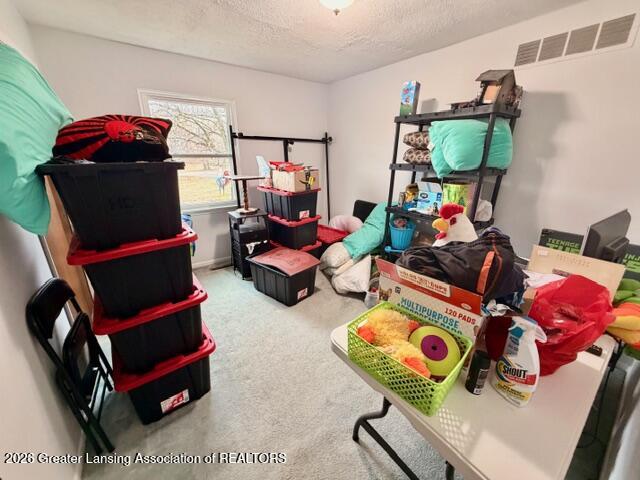307 Ives Road Mason, MI 48854 - Photo 23 of 38 IMG_0792