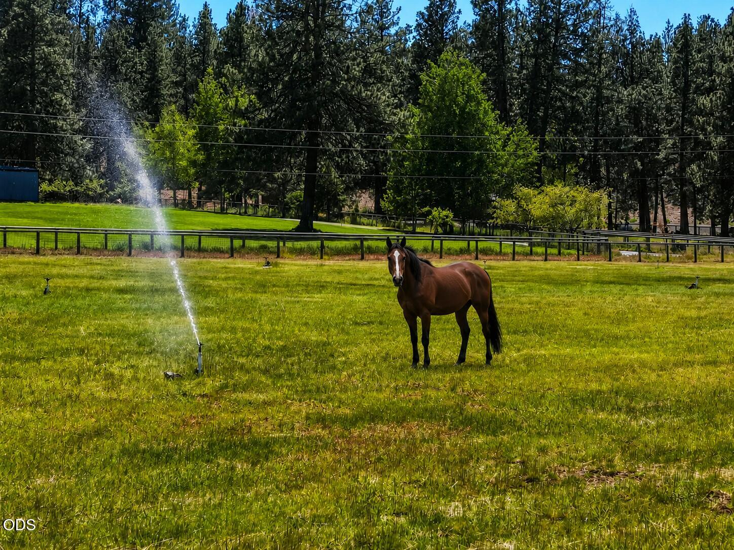 60315 Tekampe Road Bend, OR 97702 - Photo 46 of 74