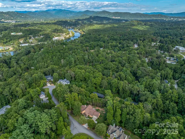 a view of a city with lush green forest