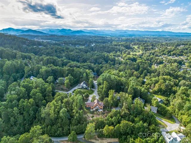 a view of a city with lush green forest