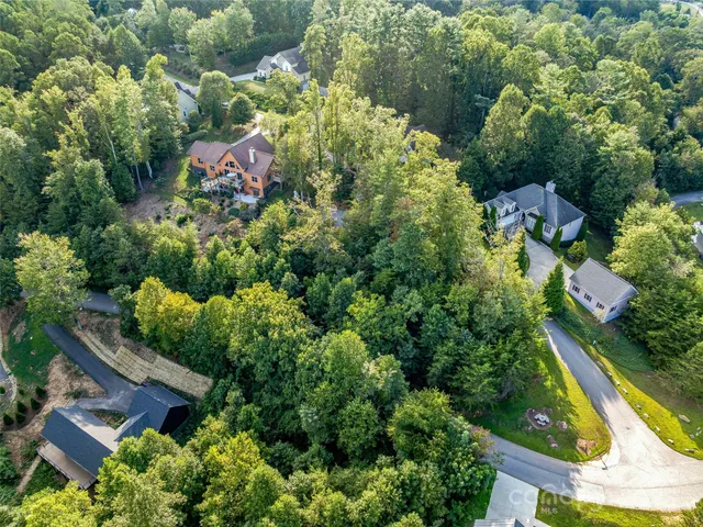 a view of a garden with plants
