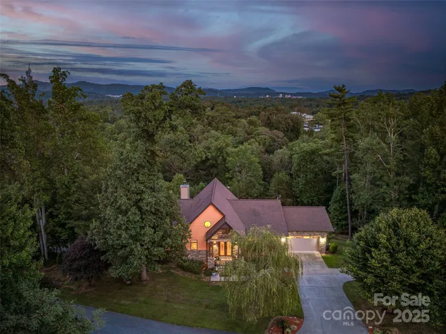 an aerial view of residential houses with outdoor space and trees