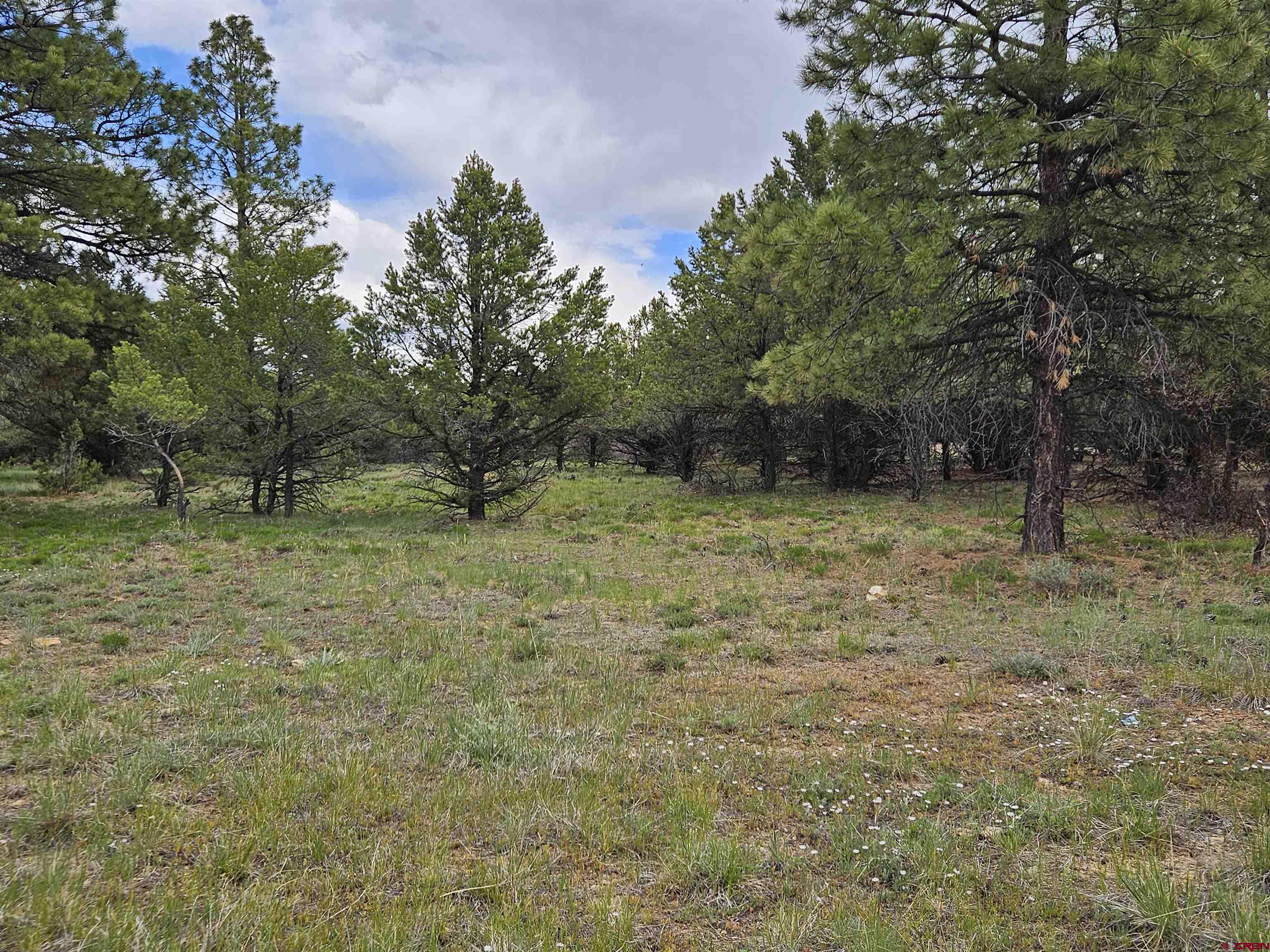 Tbd Marmot Drive Ridgway, CO 81432 - Photo 4 of 5