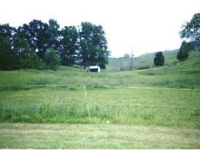 30520 Blue Spring Road Meadowview, VA 24361 - Photo 3 of 8 Photo 3
