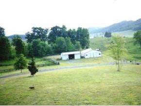 30520 Blue Spring Road Meadowview, VA 24361 - Photo 5 of 8 Photo 5