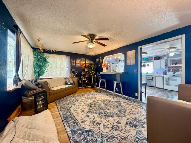 a living room with furniture rug and window