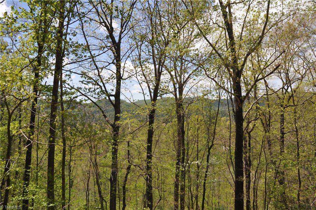 140 Lonesome Pine Road Purlear, NC 28665 - Photo 3 of 6