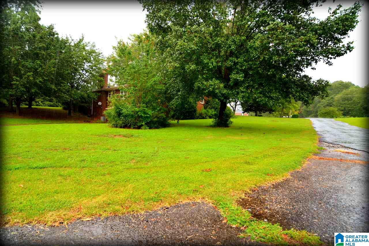 128 Rabbit Branch Road Cropwell, AL 35054 - Photo 50 of 50