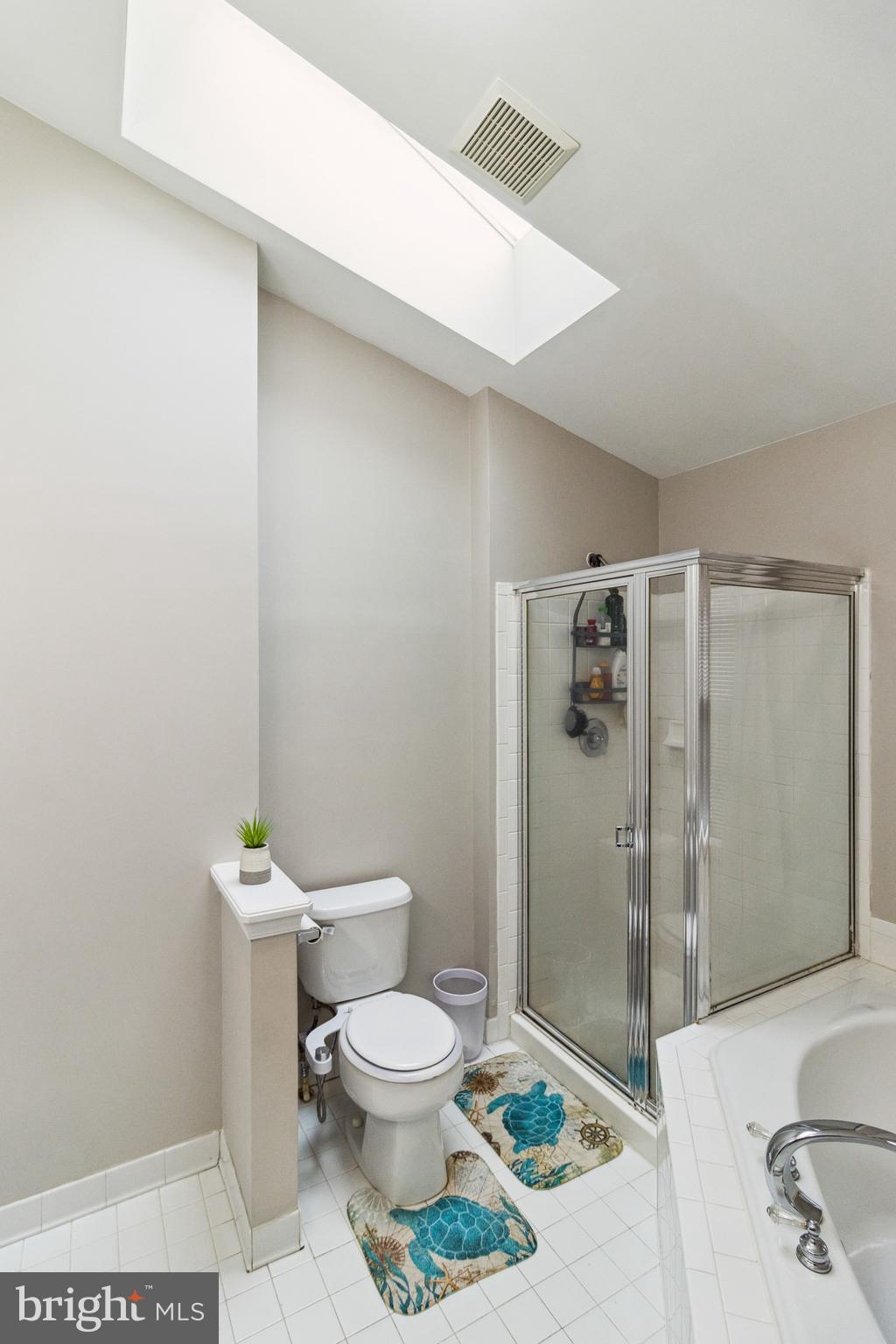 5209 Red Hill Way Rosedale, MD 21237 - Photo 29 of 36 Upper level bath with skylight