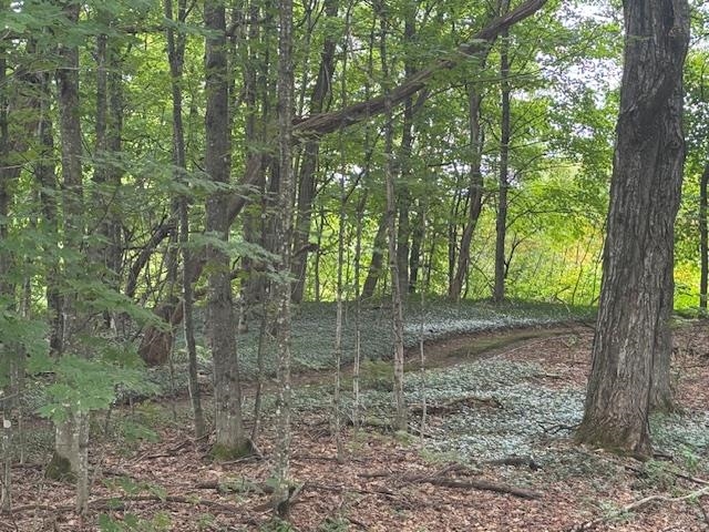 190 Upper Edsall Road Greensboro, VT 05841 - Photo 46 of 54