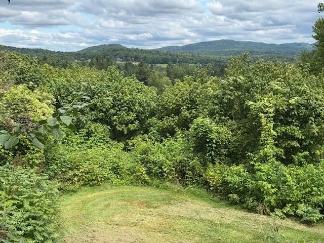 $795,000 | 190 Upper Edsall Road, Greensboro, VT 05841